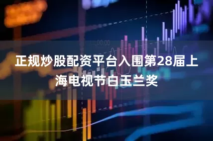 正规炒股配资平台入围第28届上海电视节白玉兰奖